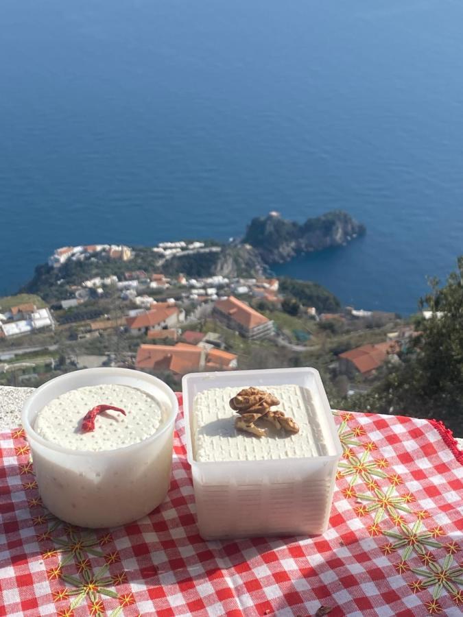 B&B Miramare Agerola Εξωτερικό φωτογραφία