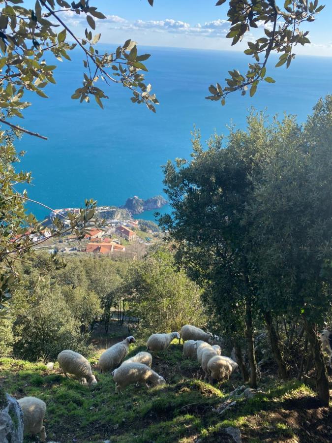 B&B Miramare Agerola Εξωτερικό φωτογραφία