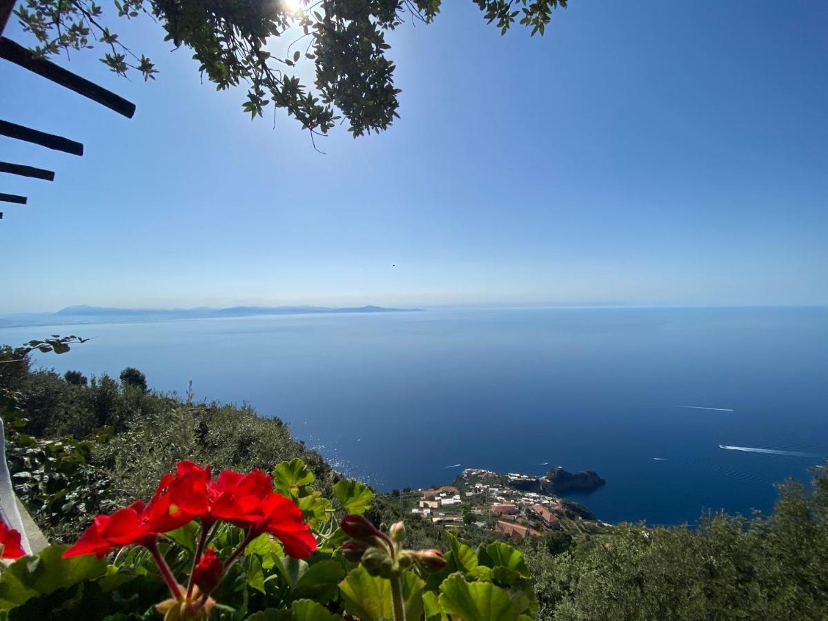 B&B Miramare Agerola Εξωτερικό φωτογραφία