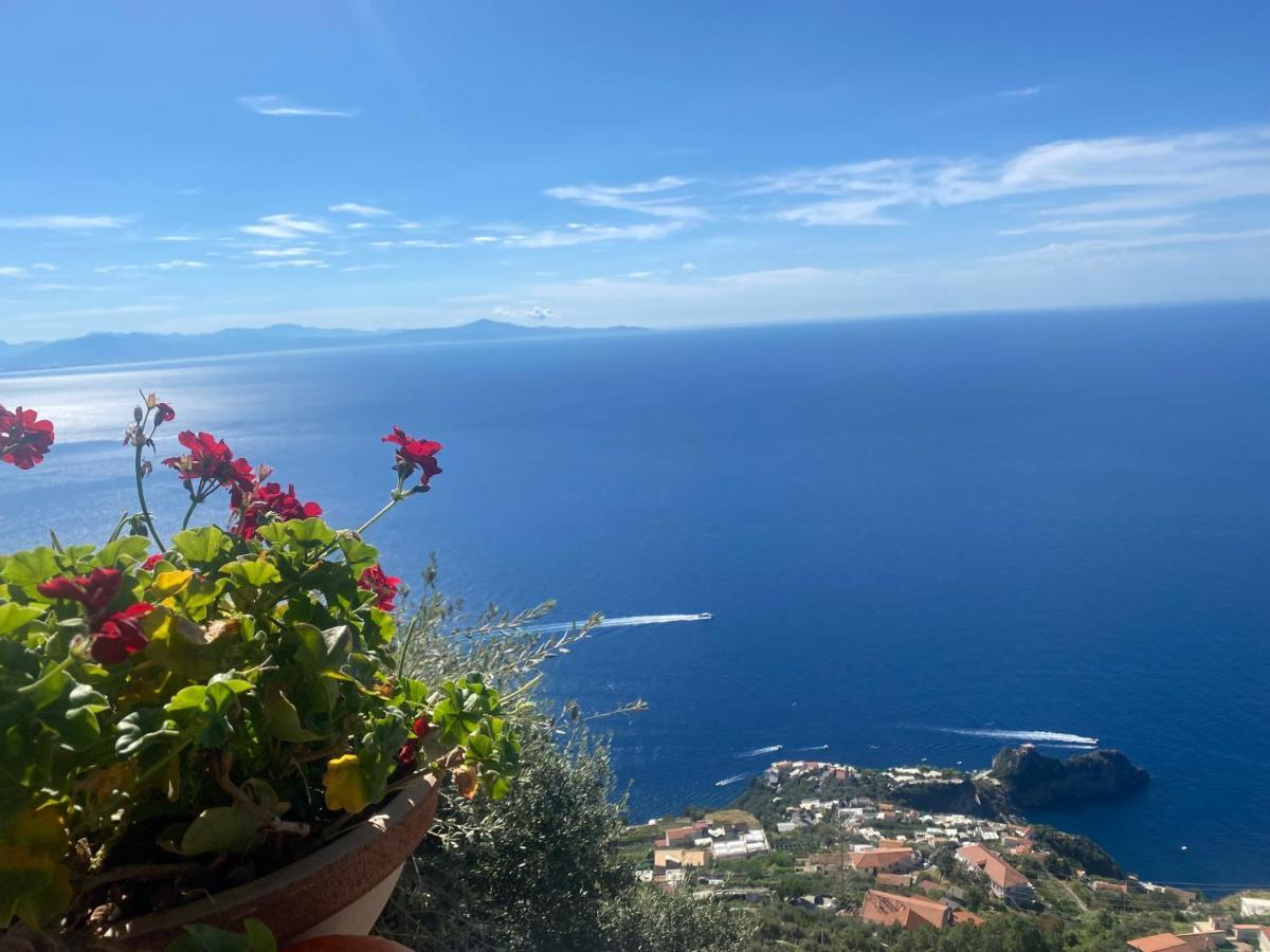 B&B Miramare Agerola Εξωτερικό φωτογραφία