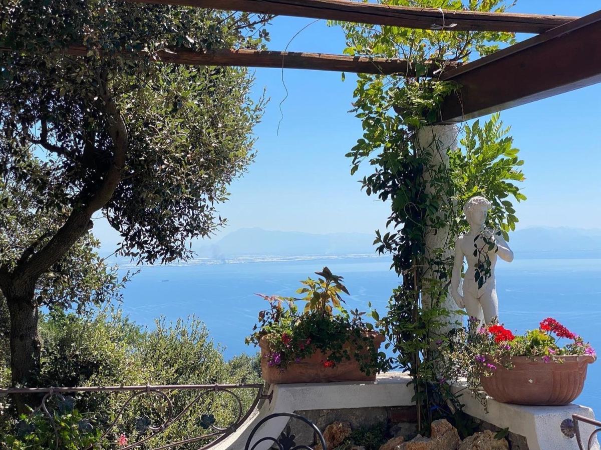 B&B Miramare Agerola Εξωτερικό φωτογραφία