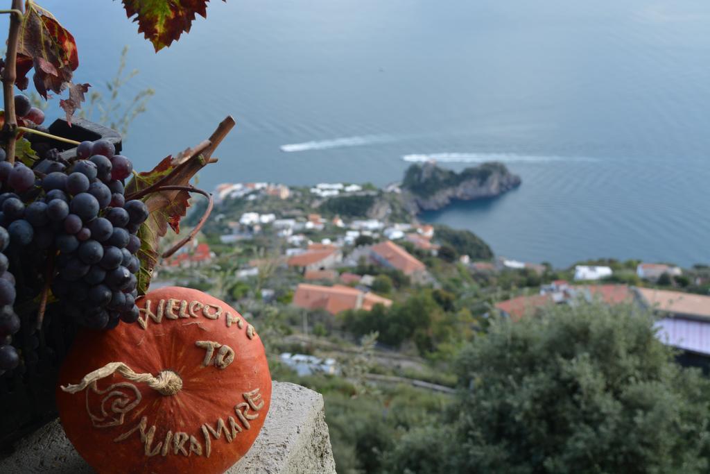 B&B Miramare Agerola Εξωτερικό φωτογραφία