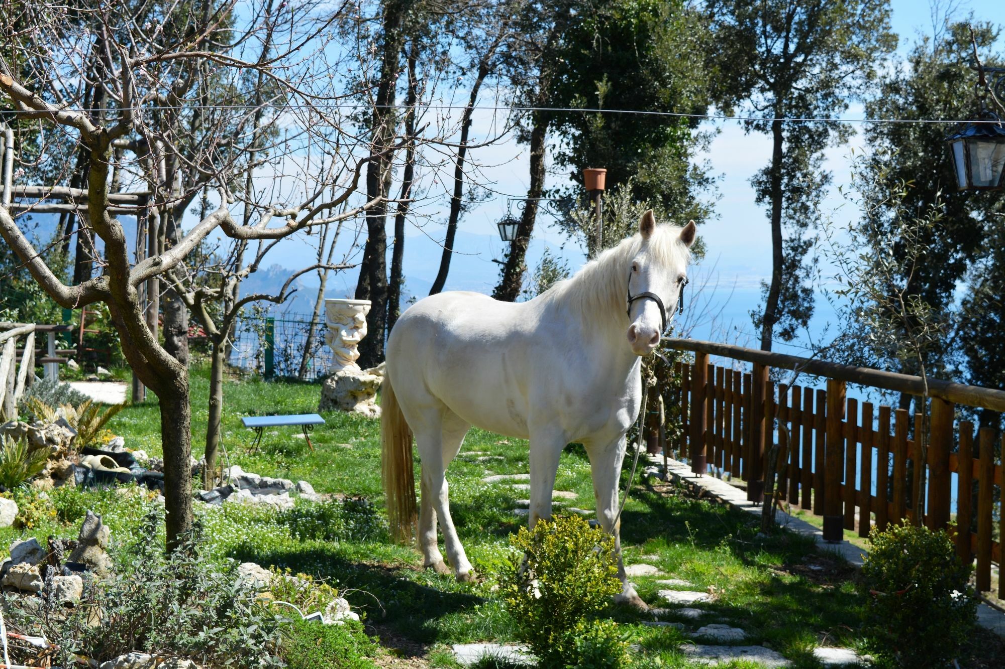 B&B Miramare Agerola Εξωτερικό φωτογραφία